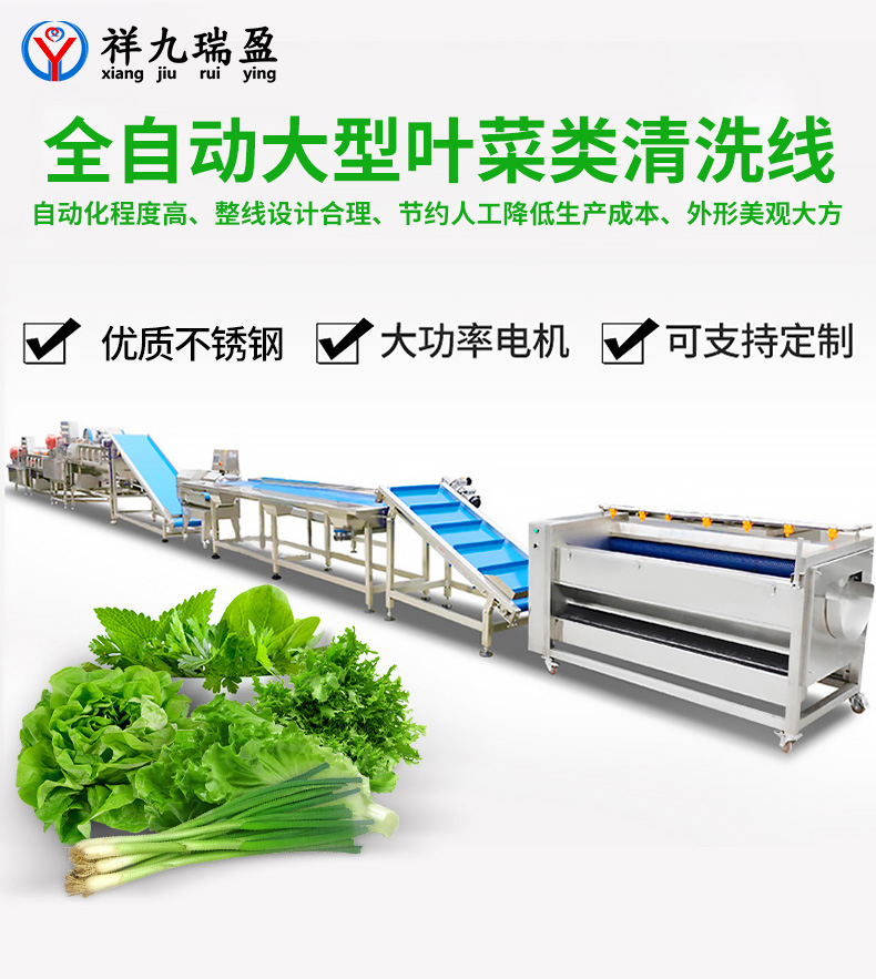 大型葉菜類清洗線生產(chǎn)流程與配套設(shè)備，你知道有多少？