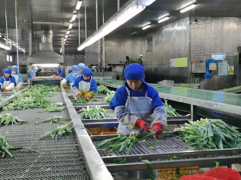 預(yù)制菜生產(chǎn)線定制方案與管理控制，如何組建預(yù)制菜的加工廠