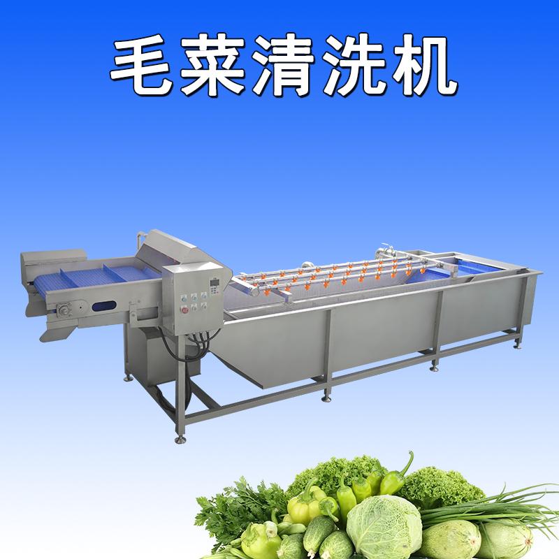 大型葉菜清洗機(jī)可將葉菜表面的污垢、沙粒和雜質(zhì)徹底清除