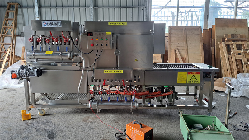 豬腳牛蹄自動(dòng)燎燒絨毛機(jī)，多爐頭、大流量的安全管家 
